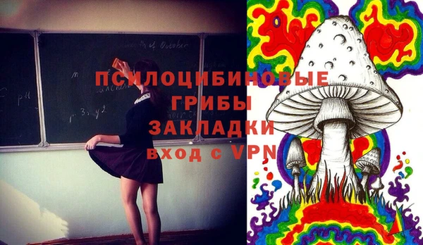 стафф Бронницы
