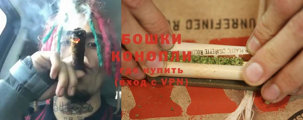 гашик Бородино