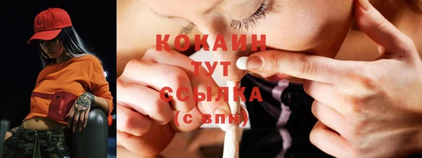 гашик Бородино