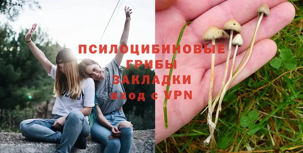 гашик Бородино